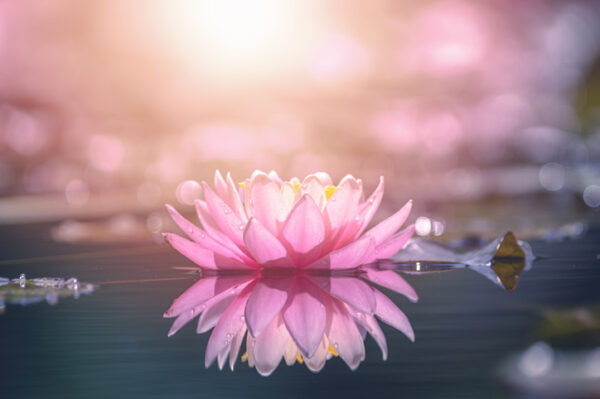 Chakrabalansering - Bild 2